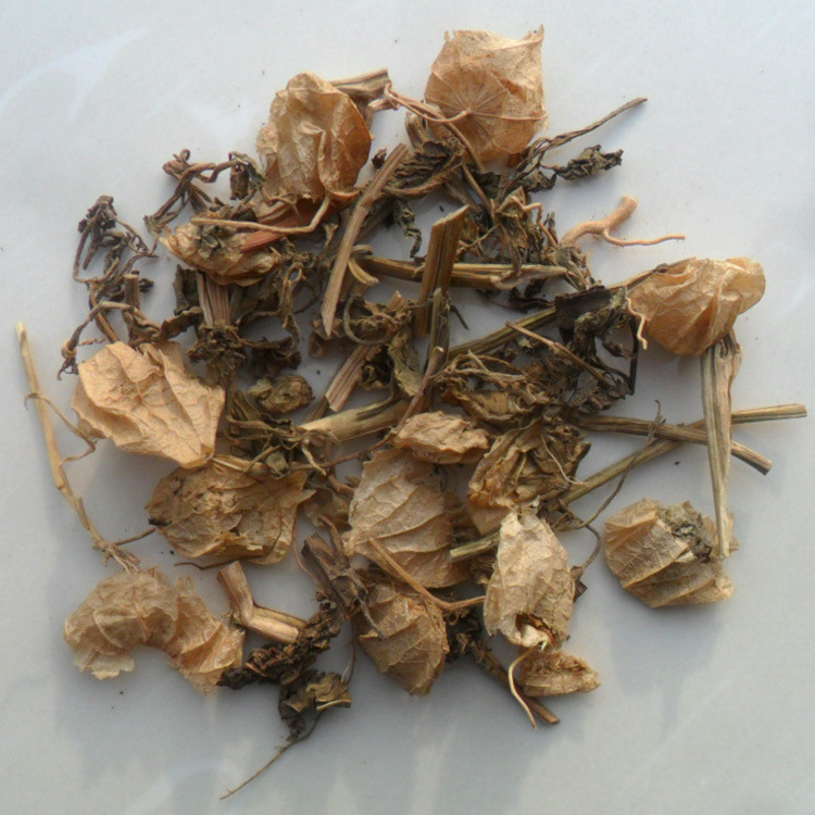 化学药制剂：推动医药行业持续进步的动力