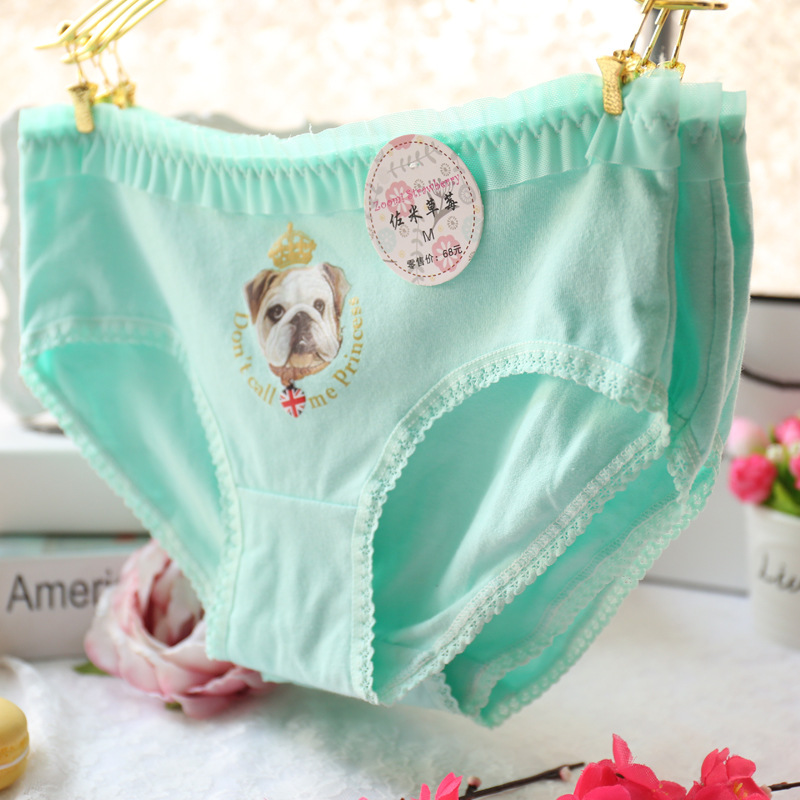 Slip jeune A035 en coton - Ref 647956 Image 11