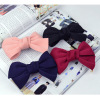 Cloth with bow, hairpin, hairgrip, pendant