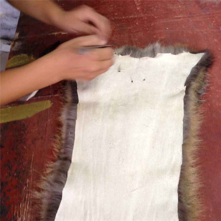 2360524484_1876805669