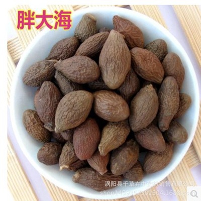 批發新貨胖大海茶 優質長果胖大海 散裝圓果胖大海花果茶廠家直銷