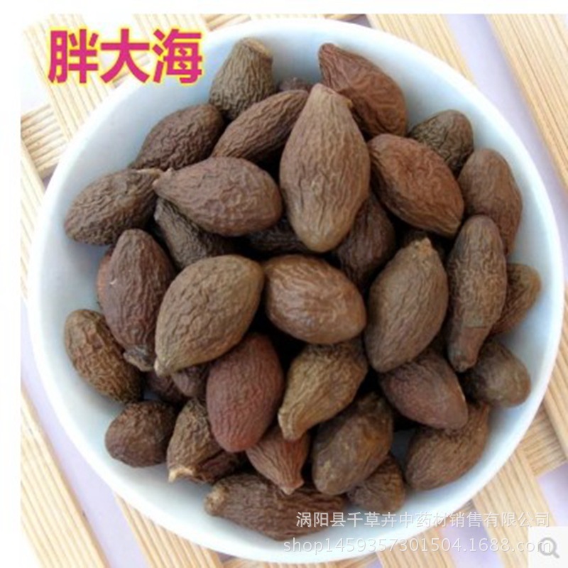 批發新貨胖大海茶 優質長果胖大海 散裝圓果胖大海花果茶廠家直銷