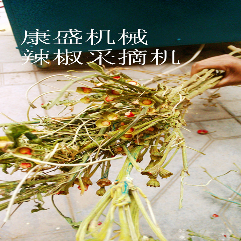 950采摘后掉把率_副本1_副本