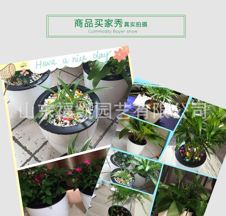 �ڰ׿�����ҳ_09