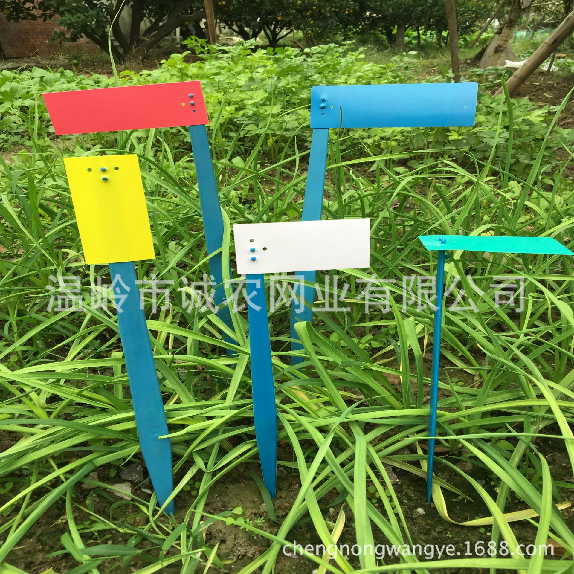 Этикетки для садоводства, водонепроницаемые ярлыки, разноцветные цветы и суккуленты, свободно комбинируемые, этикетки для разведения, специально для маркировки пшеницы и риса.