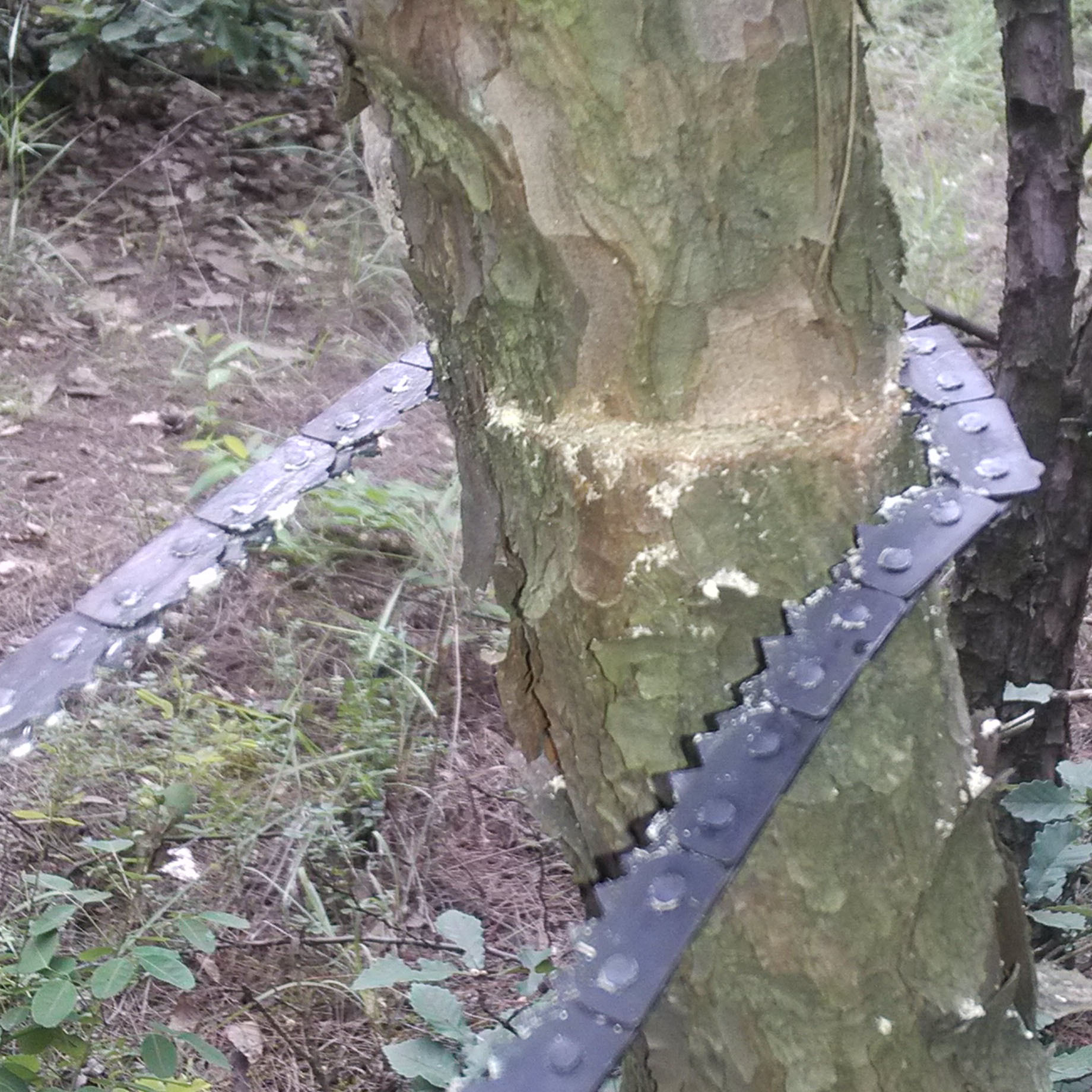 IMG_20140705_144342 副本