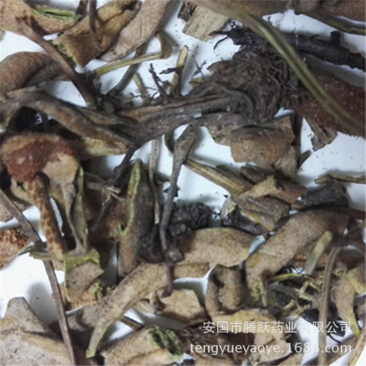 Dried Shi Wei Pyrrosia Leaf Whole Herb 1kg Bag Traditional Chinese Herbal Tea Ingredient specifications