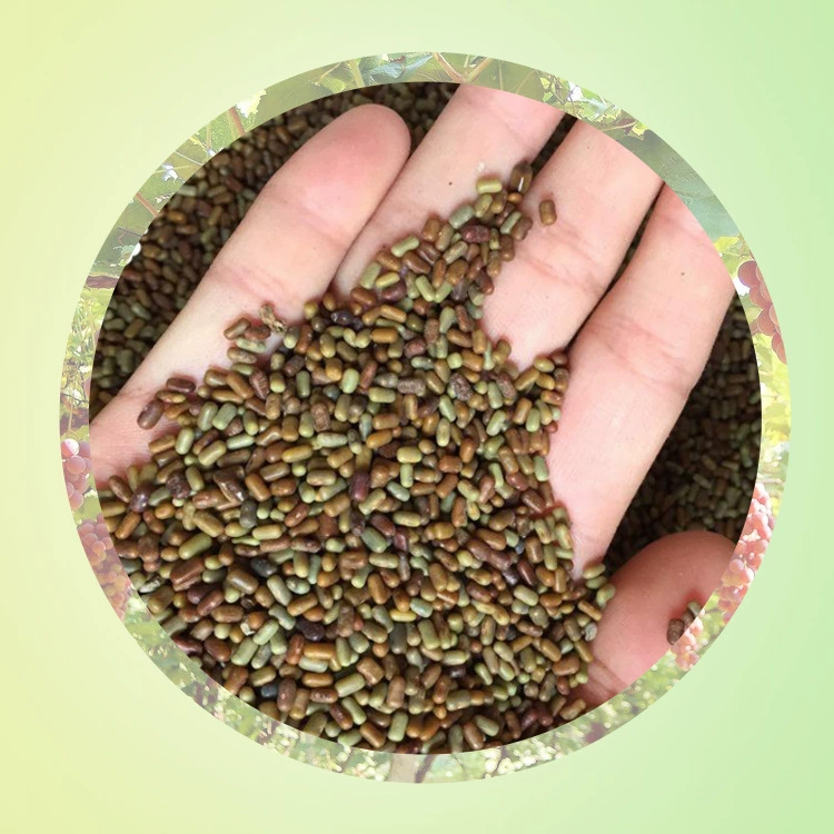 [Фабрика] Поставка Детский пляж Тянь Цинцзы Семена Тянь Цзин Цзы Тянь Цин