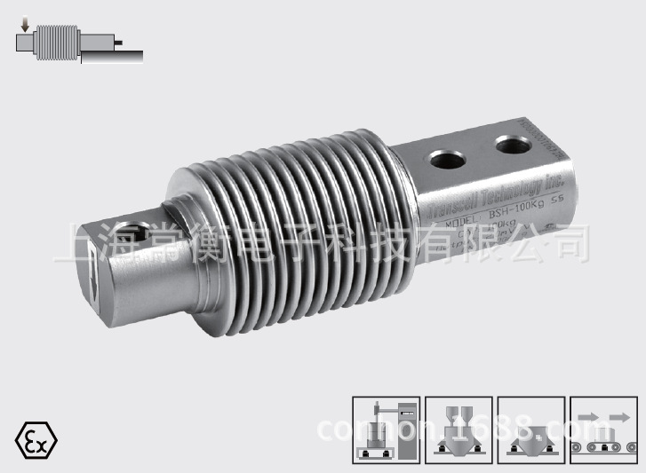 美国传力电子BSH系列量程10-500kg称重传感器 灌装秤皮带秤传感器