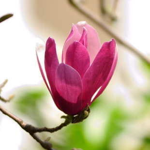 �������@����·���G���V�������m��N��ľ�m����ľ�P�������N