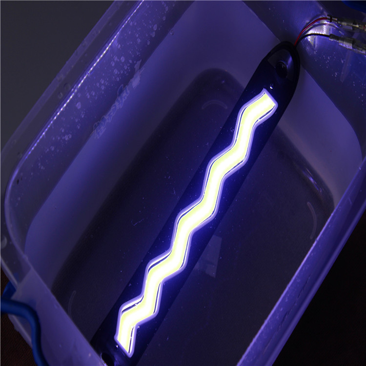 2951999220_751913310