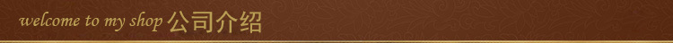 公司介绍