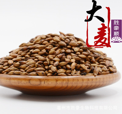 Wholesale tea/Herbal tea Barley Barley tea/Hotel tea/Cong OEM Processing