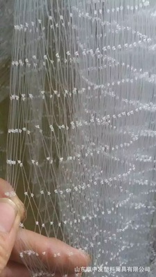 直销防鸟网果园防护网结实耐用！|ru