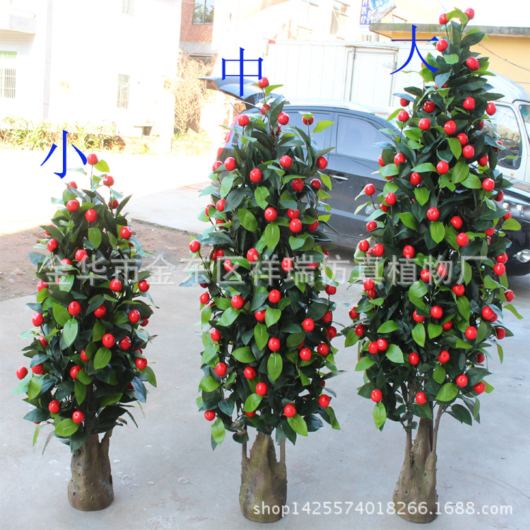 XRS-135 136 137 塔型五叉苹果树