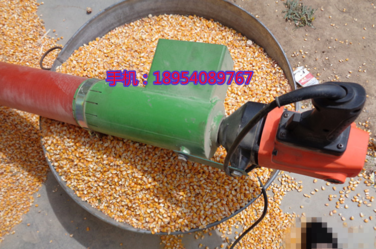 DSC01962_副本 - 副本