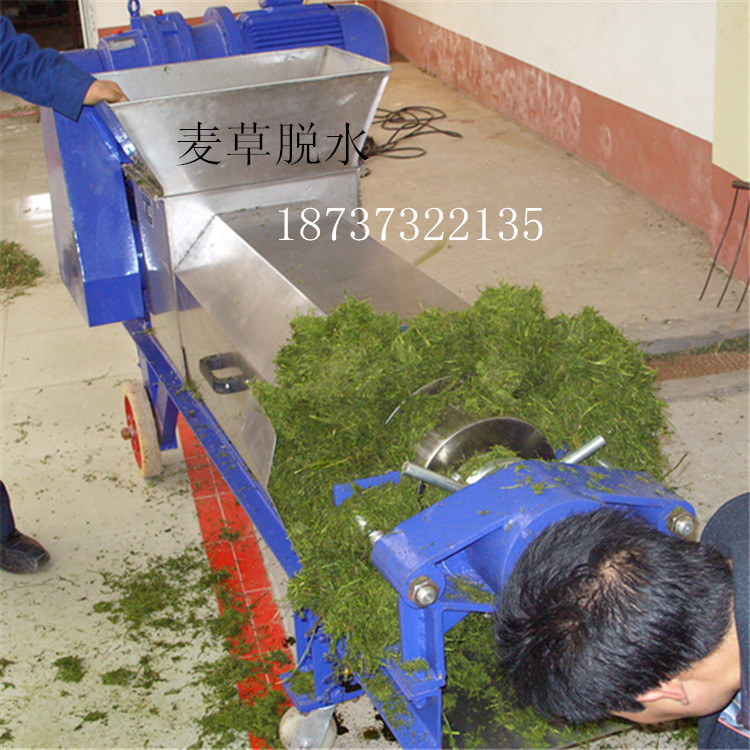 小型多用果蔬榨汁压榨机/螺旋榨汁机