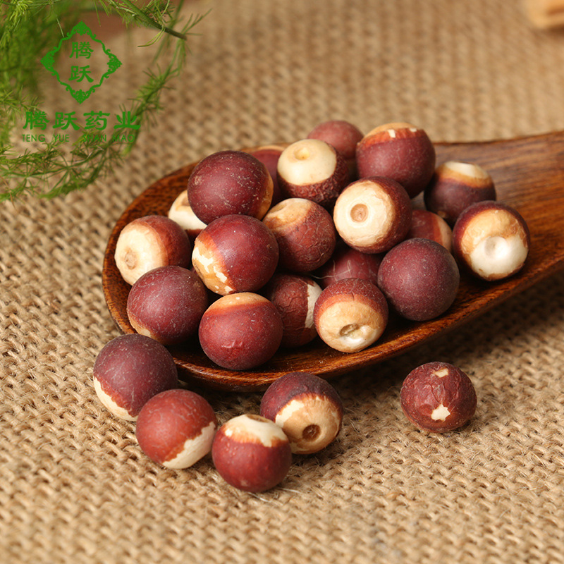 Dried Gorgon Fruit Qian Shi Euryale Ferox Seeds Whole Bulk 1kg Guangdong Origin in use