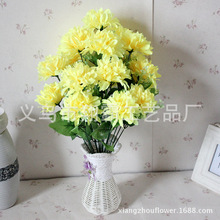 ������Գ������� 18ͷ�����ջ� �ٻ����컨 ɨĹ�� �羳�ֻ���Ӧ
