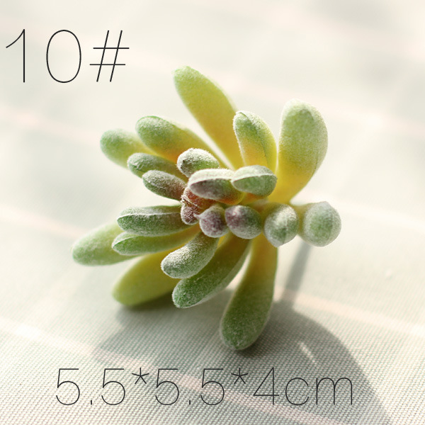 シミュレーション多肉植物卸売り小多肉優品偽緑植壁室内外装飾組み合わせ植毛リアル肉