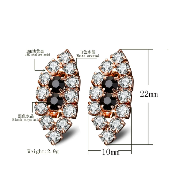 Earrings E477