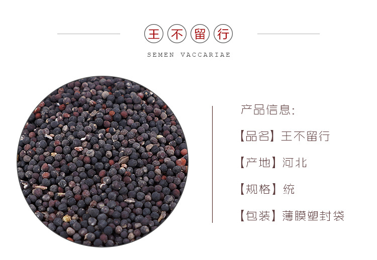 Wang Bu Liu Xing Cowherb Seeds 500g Dried Vaccaria Segetalis Whole Herb Bulk Chinese Herbal Supply overview
