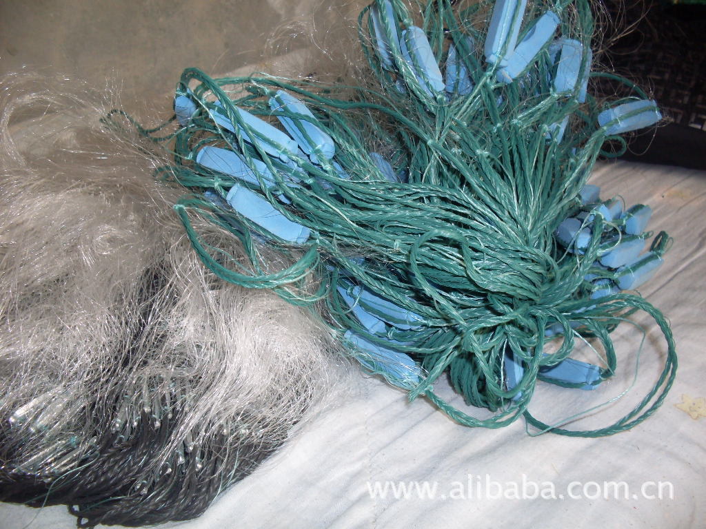 beb61ff5a4d11a5b3193e68f2b1037