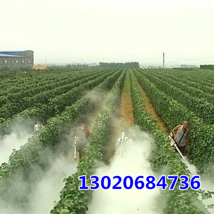 手提式弥雾机 蔬菜打药烟雾机