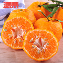 芦柑产地价格_最新芦柑产地价格\/批发报价_芦