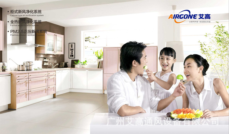 airgone/艾高新风系统分体管道换气扇