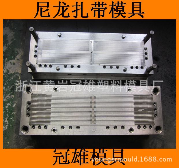 出口高品质尼龙汽车扎带模具