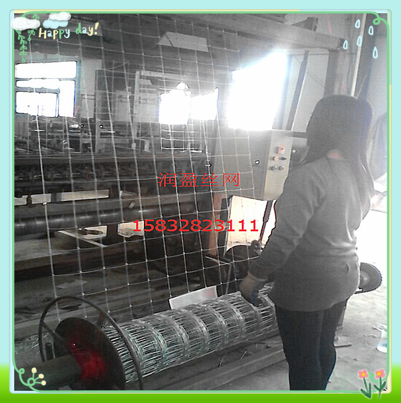 钢丝牲畜围栏 草原隔离网