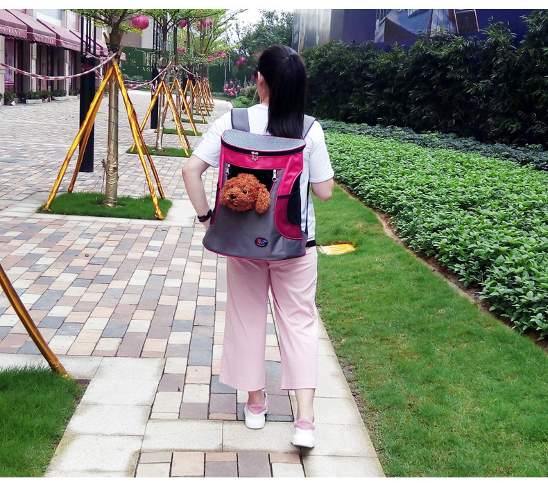 带окно Оксфорд ткань назадпакет _06