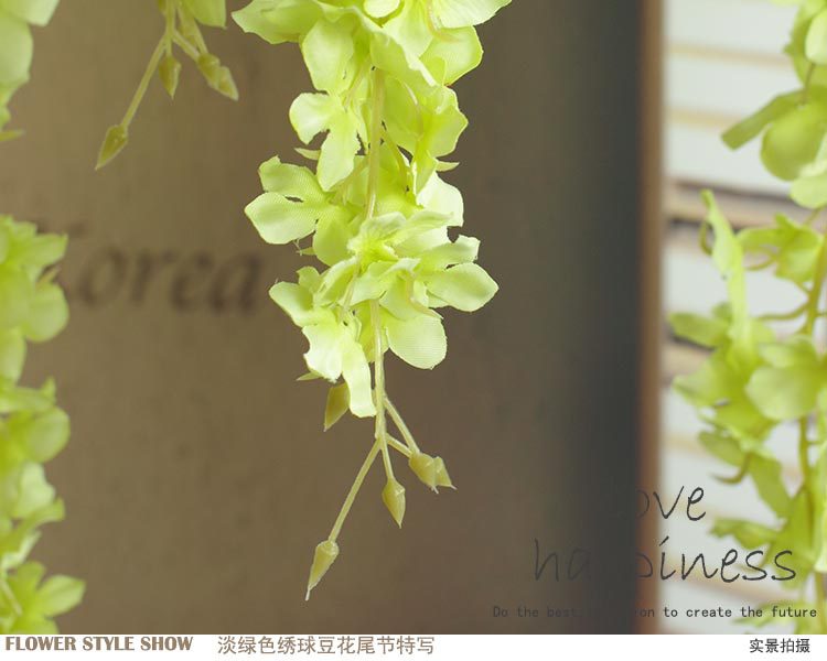 绣球豆花（单节）_18