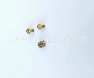 黄铜材质定做各种非标螺丝防盗锁螺丝M3*16一字机米螺丝量大价