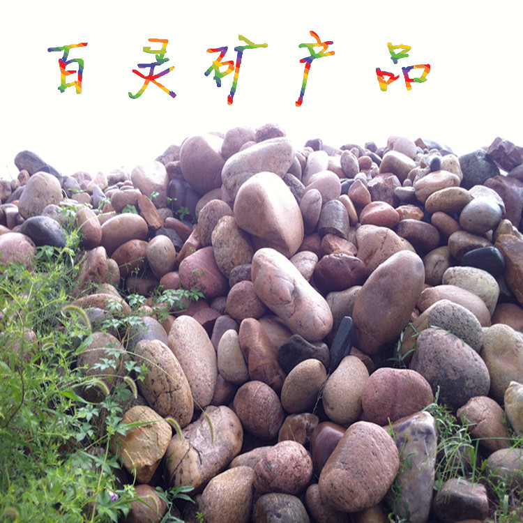 产地货源 河卵石  鱼缸装饰 铺地河卵石 河冲石