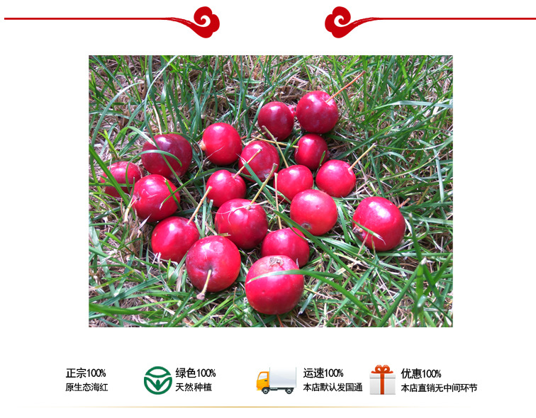 海红子的图片,海红子树,海红果图片(第11页)_大山谷图库