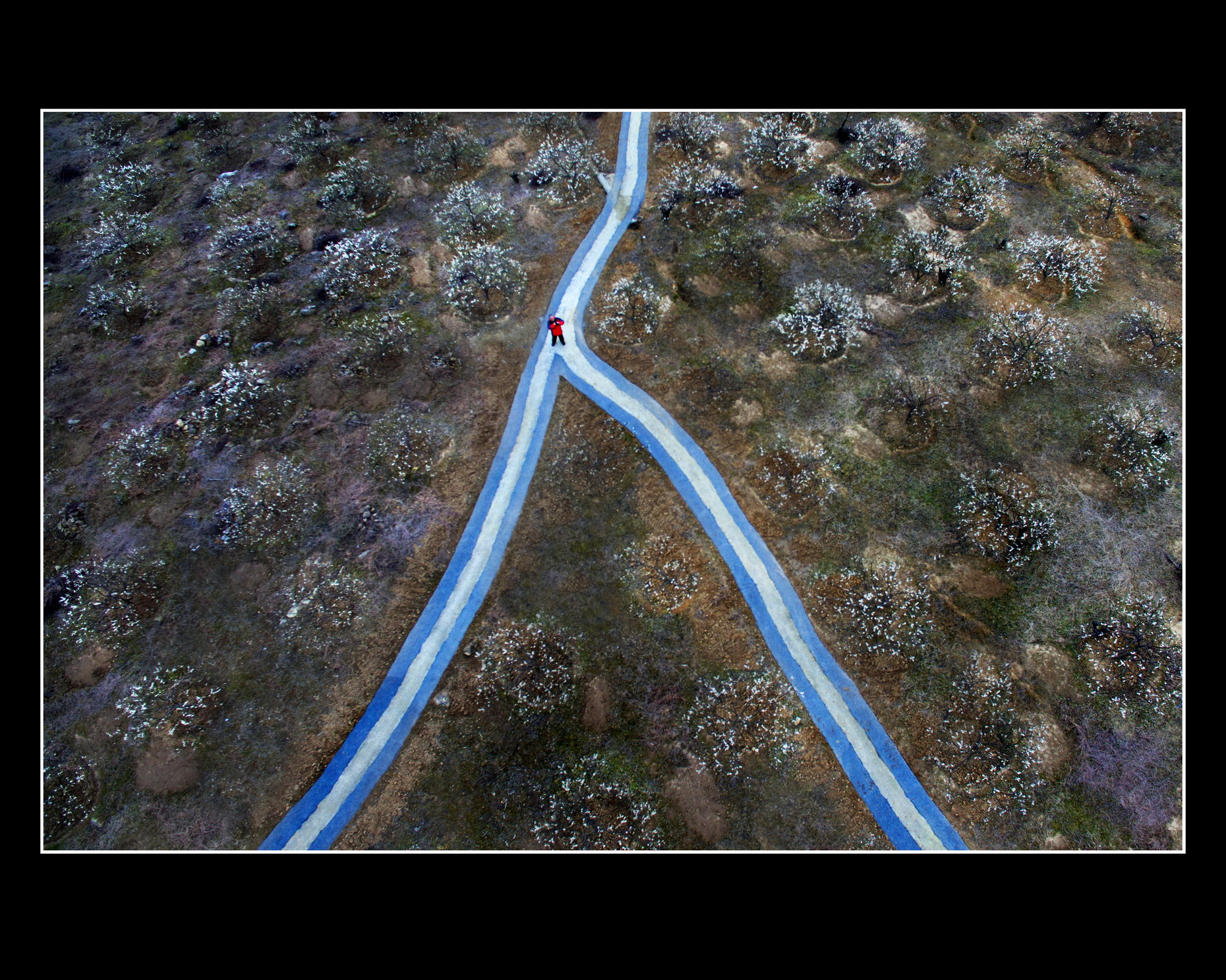 人生路口入选彭庆凯_调整大小