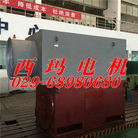 YL5003-8 630KW与YL5001-8 500KW/高压电机图片