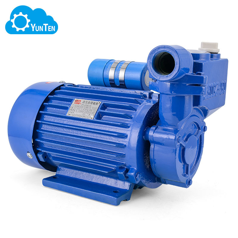 DBZ清水型自吸高压泵 单项370w 高扬程电动泵 大功率有三相