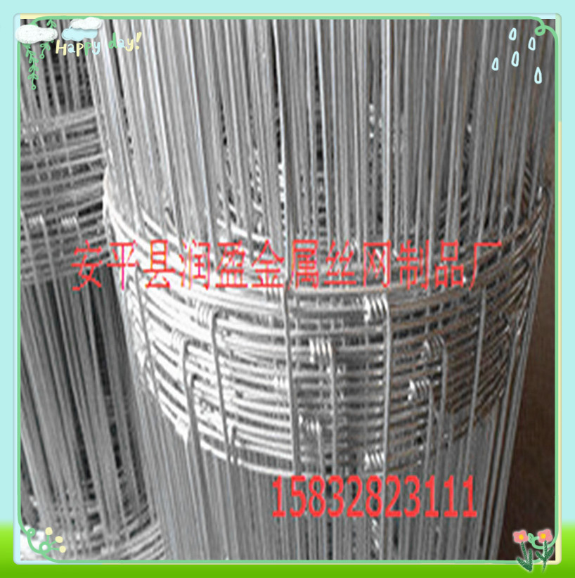 草原镀锌钢丝围栏网