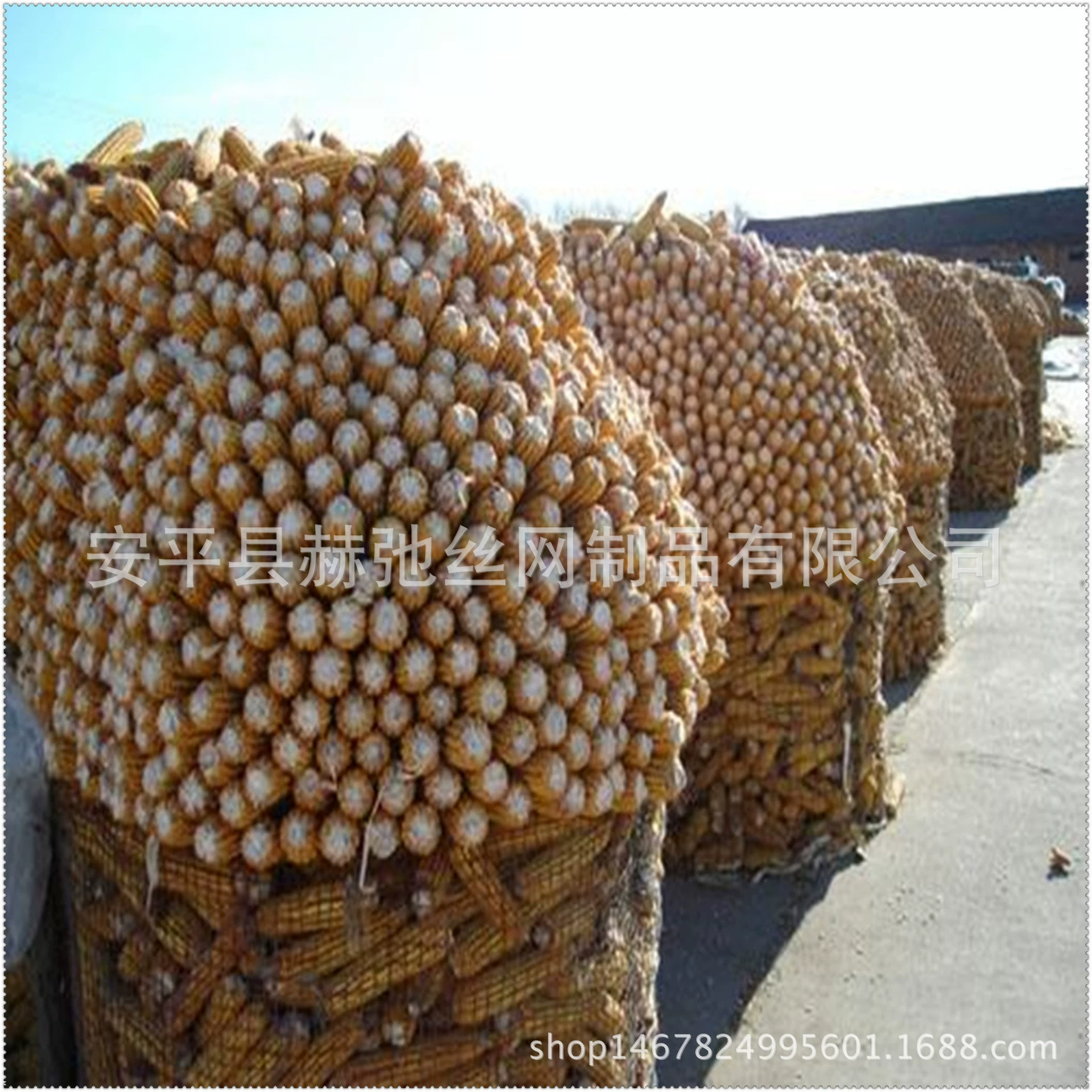 Factory direct sales Corn Circle Welded Mesh Galvanized Corn Circle Drying Wire Mesh 2.0mm Circle Rod Subnet