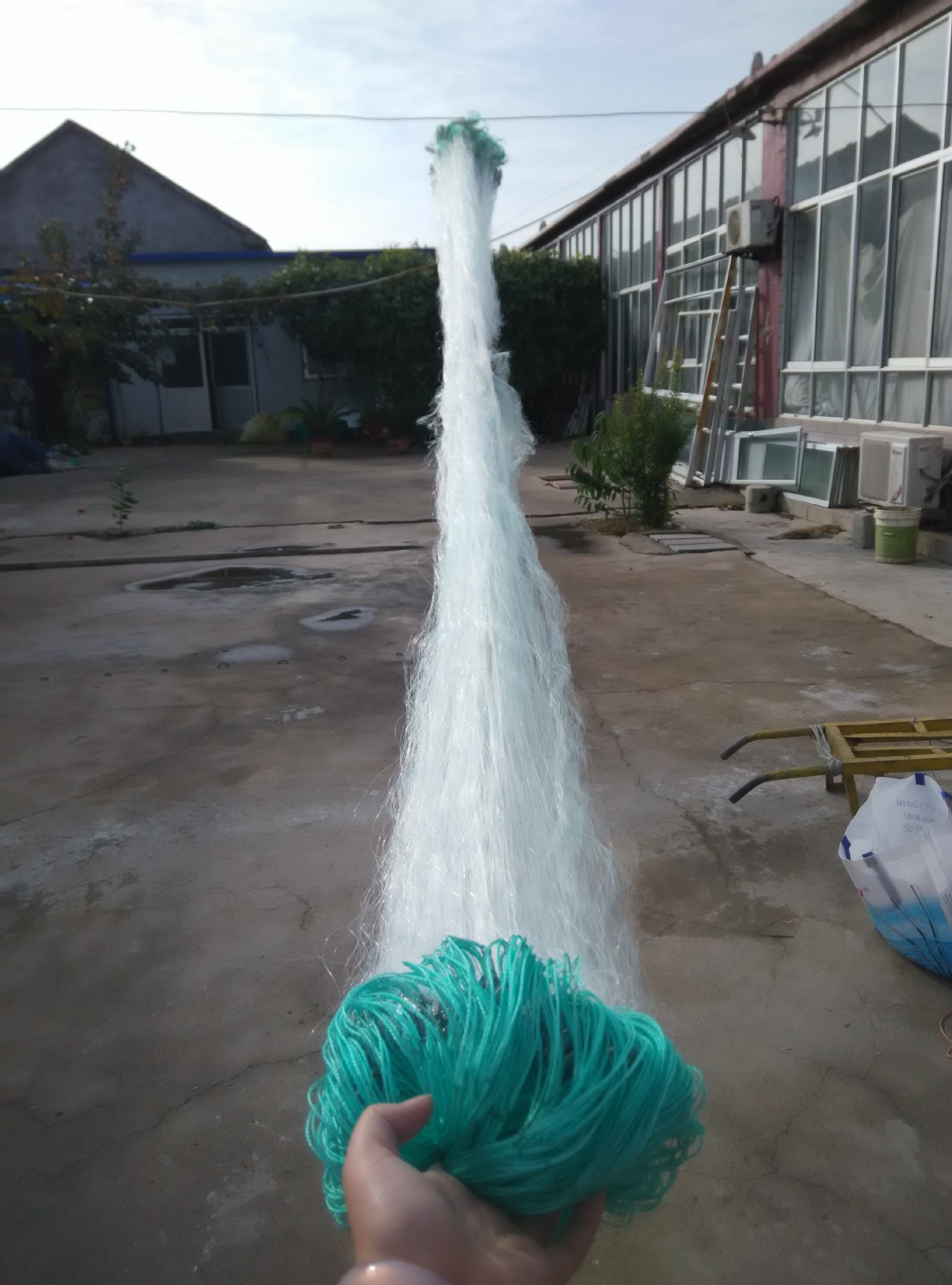 wangIMG_20161023_150518