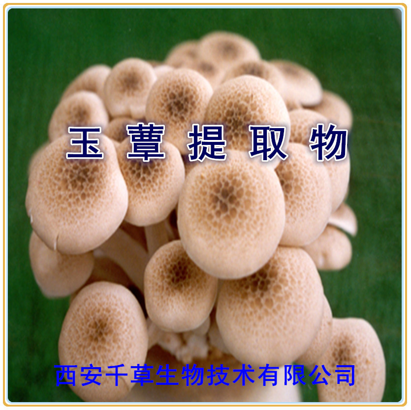 玉蕈提取物