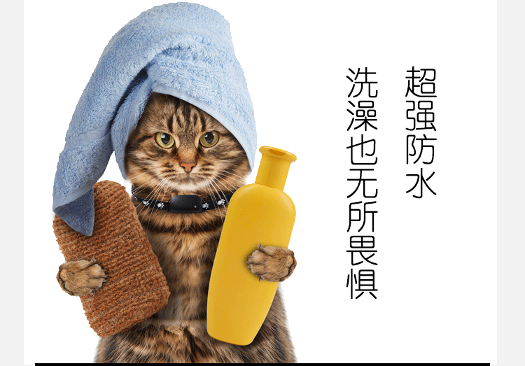 2957949522_1048139226