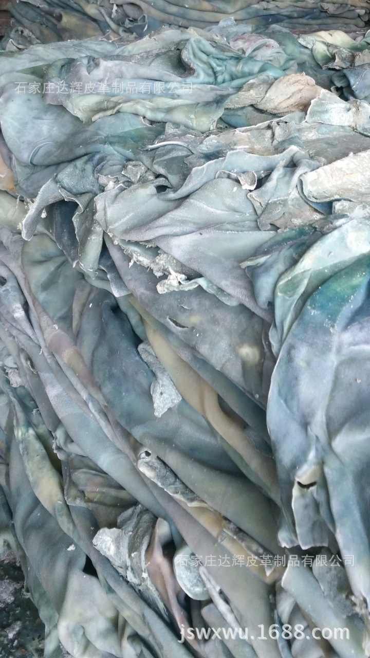 植树节截屏_20160312_192459