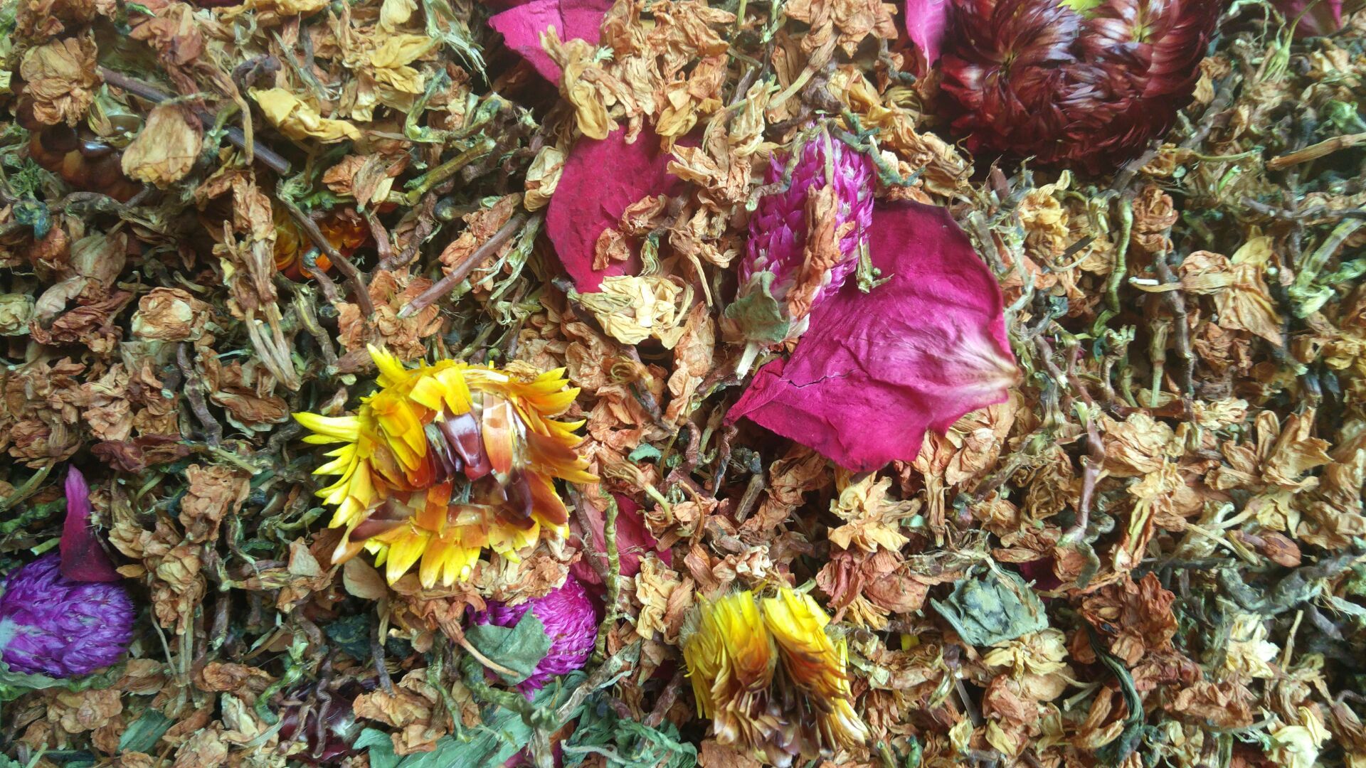 QQ图片20161113102436