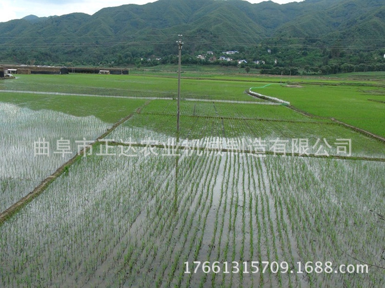 插禾机价格 安阳机动插秧机