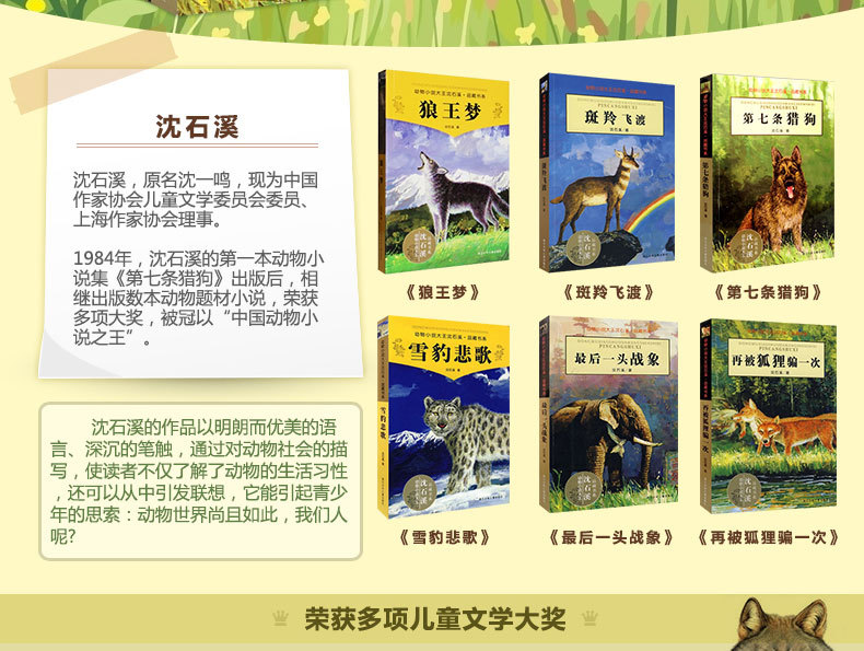 书籍-沈石溪动物小说精选全集系列作品大全 儿