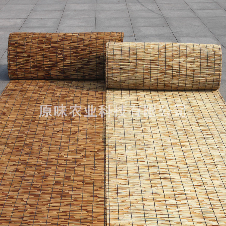 IMG_0925_副本_副本_副本